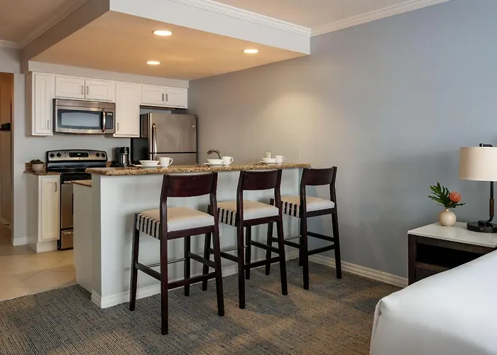 Hyatt Regency Clearwater And Clearwater Beach