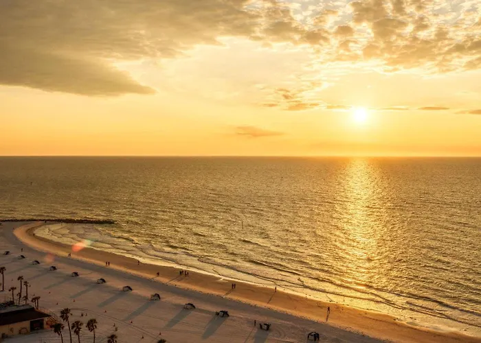 Hyatt Regency Clearwater And Clearwater Beach